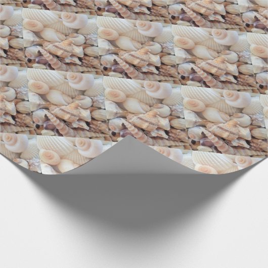 Muscheln, exotische Sommerfotografie Geschenkpapier (Ecke)