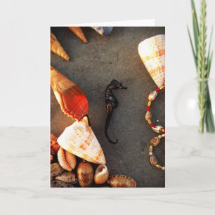 Muscheln Feiertagskarte