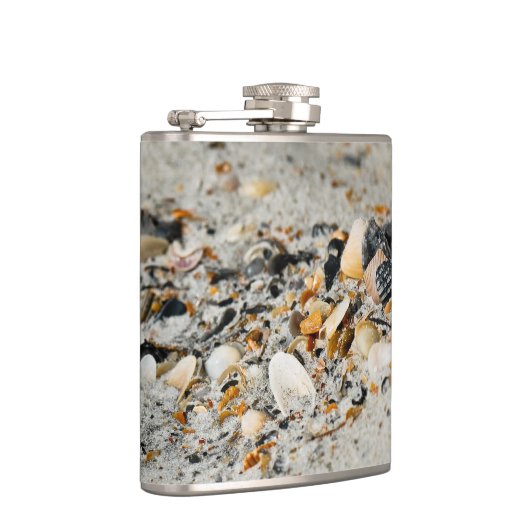 Muscheln Flachmann (Rechts)