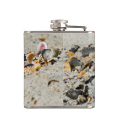 Muscheln Flachmann (Rückseite)