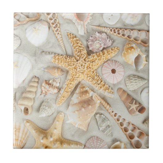 Muscheln Fliese (Vorderseite)