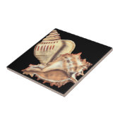 Muscheln Fliese (Seite)