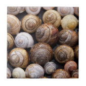 Muscheln Fliese (Vorderseite)