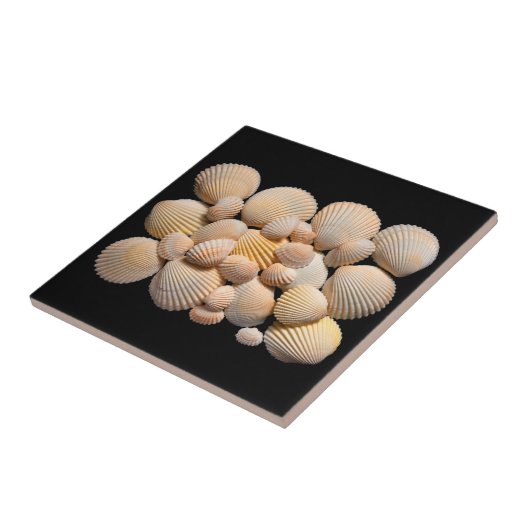 Muscheln Fliese (Seite)