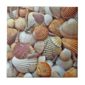 Muscheln Fliese (Vorderseite)
