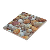 Muscheln Fliese (Seite)