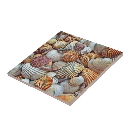 Muscheln Fliese (Seite)