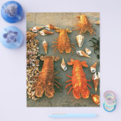 Muscheln Flyer (Einzeln)