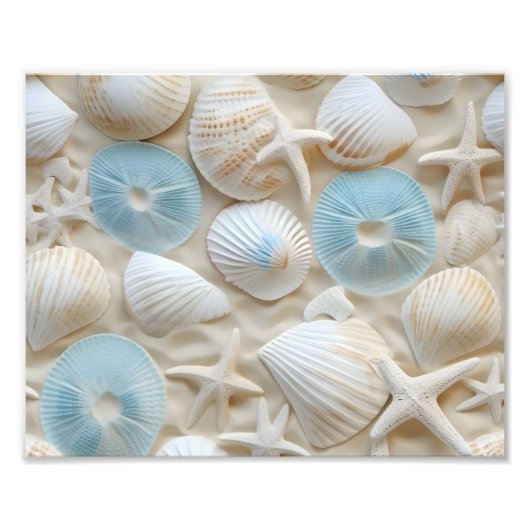 Muscheln Fotoabzug Fotodruck (Vorne)