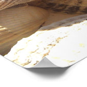 Muscheln Fotografie Poster (Ecke)