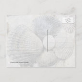 Muscheln für Schwarz und Weiß Postkarte (Rückseite)