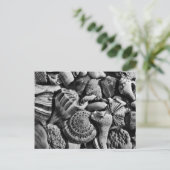 Muscheln für Schwarz und Weiß Postkarte (Stehend Vorderseite)