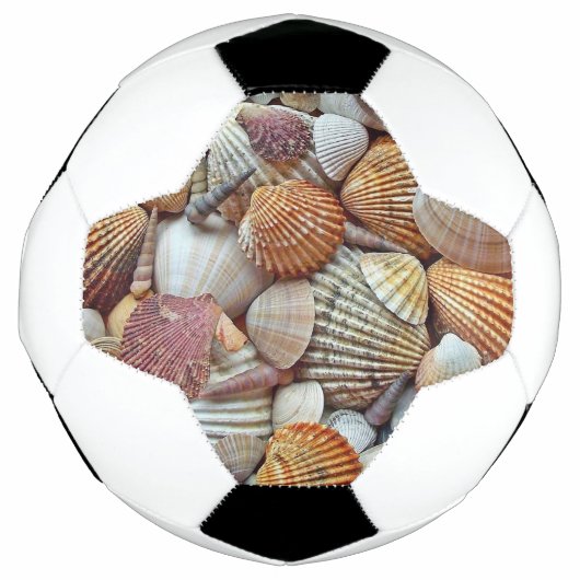 Muscheln Fußball (Vorderseite)