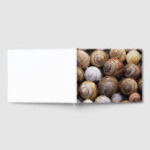 Muscheln Gästebuch (Voll)