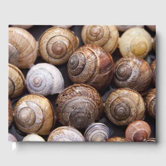 Muscheln Gästebuch (Vorderseite)