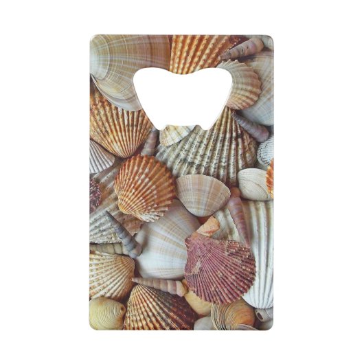 Muscheln Geldbeutel Flaschenöffner (Vorderseite)