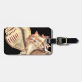 Muscheln Gepäckanhänger (Vorderseite horizontal)