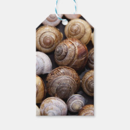 Muscheln Geschenkanhänger