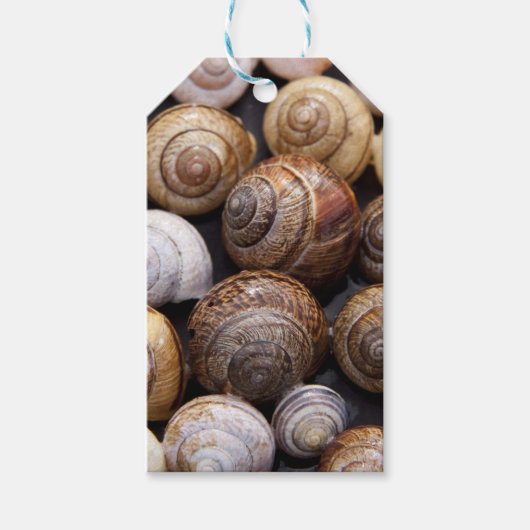 Muscheln Geschenkanhänger (Vorderseite)