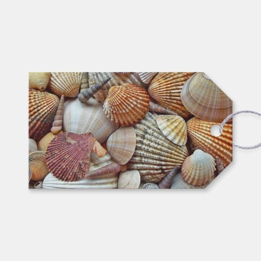 Muscheln Geschenkanhänger (Vorderseite (Horizontal))