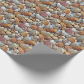 Muscheln Geschenkpapier (Ecke)