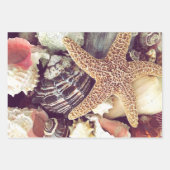 Muscheln Geschenkpapier Set (Vorderseite 3)