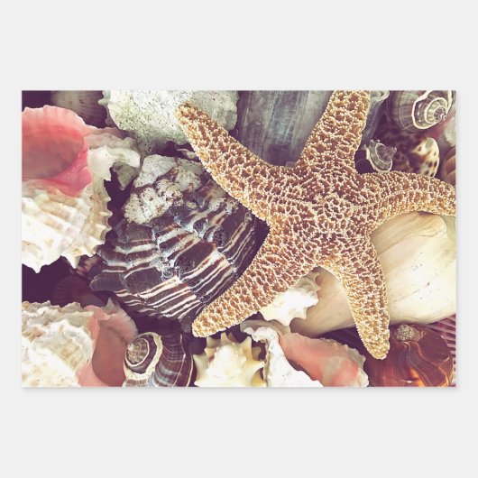 Muscheln Geschenkpapier Set (Vorderseite 3)