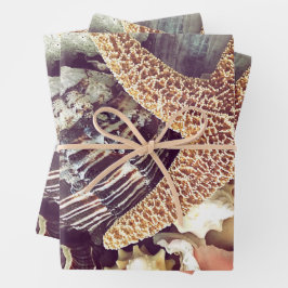 Muscheln Geschenkpapier Set