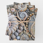 Muscheln Geschenkpapier Set (Beispiel)
