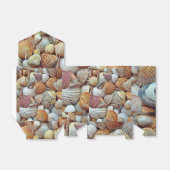 Muscheln Geschenkschachtel (Ungefaltet)