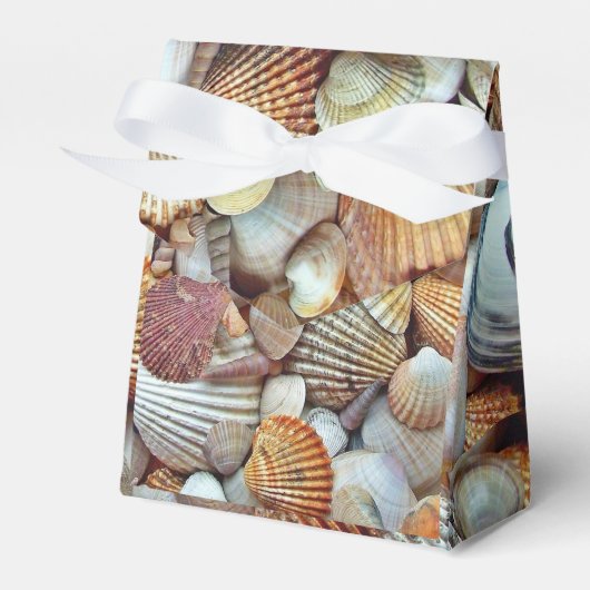 Muscheln Geschenkschachtel (Vorderseite)