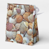 Muscheln Geschenkschachtel (Rückseite)