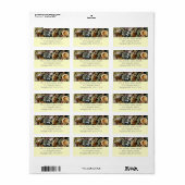 Muscheln-, Gestein- und Korallenfotografie Adressaufkleber (Vorne)