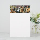 Muscheln-, Gestein- und Korallenfotografie Briefpapier (Stehend Vorderseite)