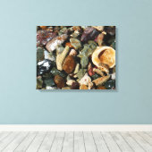 Muscheln-, Gestein- und Korallenfotografie Leinwanddruck (Insitu (Holzboden))