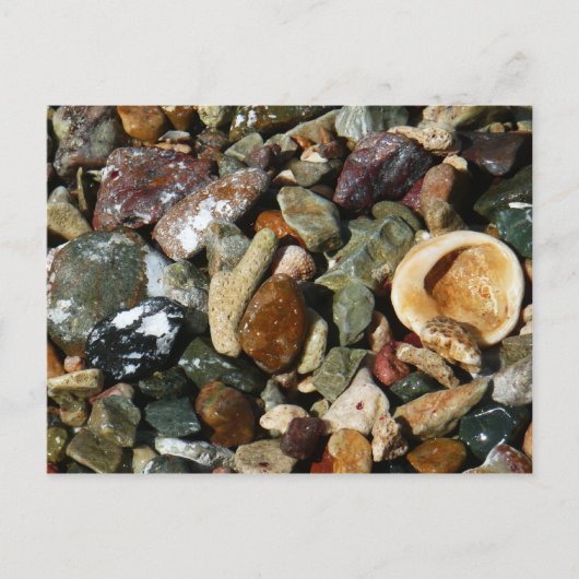 Muscheln-, Gestein- und Korallenfotografie Postkarte (Vorderseite)