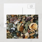 Muscheln-, Gestein- und Korallenfotografie Postkarte (Vorne/Hinten)