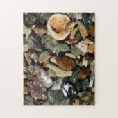 Muscheln-, Gestein- und Korallenfotografie Puzzle (Vertikal)