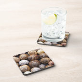 Muscheln Getränkeuntersetzer (Rechte Seite)