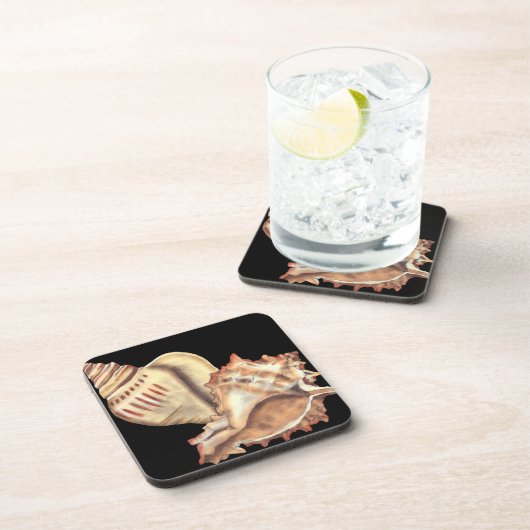 Muscheln Getränkeuntersetzer (Rechte Seite)