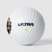 Muscheln Golfball (Logo)