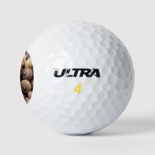Muscheln Golfball (Logo)