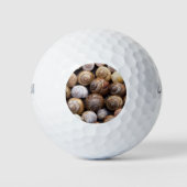 Muscheln Golfball (Vorderseite)