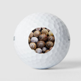 Muscheln Golfball