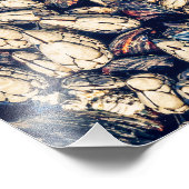 Muscheln: Gooseneckbarnacles & Miesmuscheln Fotodruck (Ecke)