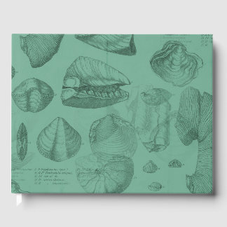 Muscheln grüne Stuhlensammlung Gästebuch