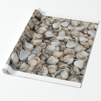 Muscheln Hintergrund Geschenkpapier