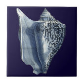 MUSCHELN I FLIESE (Vorderseite)