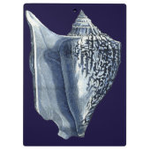 MUSCHELN I KLEMMBRETT (Rückseite)