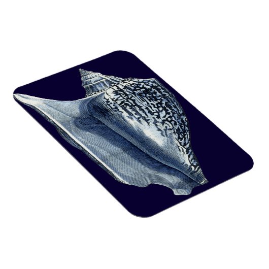 MUSCHELN I MAGNET (Rechte Seite)